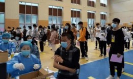 石家庄48中最新爆料消息,揭秘校园新动态与未来规划